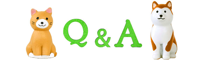 Q＆A